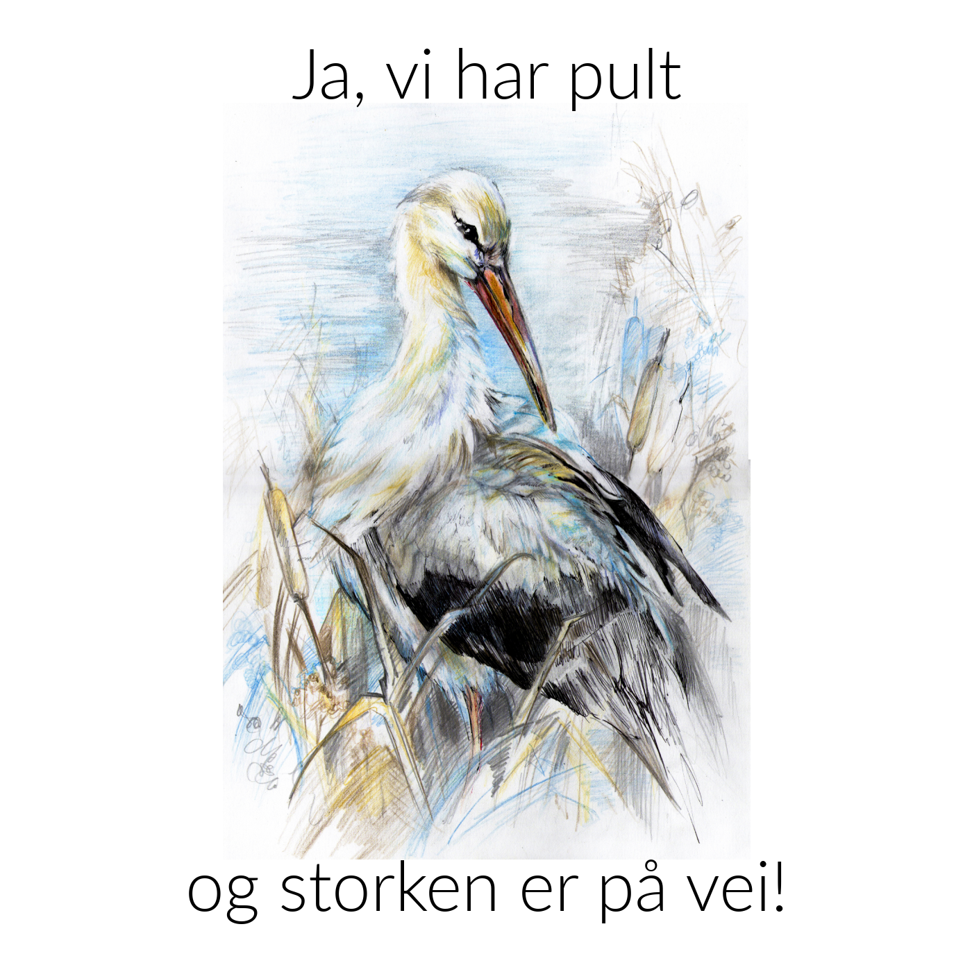Gratulasjonskort - Vi har pult