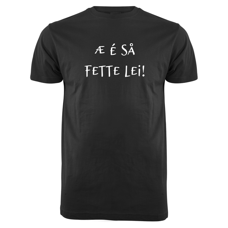 Æ É SÅ FETTE LEI! - droyetekster.no